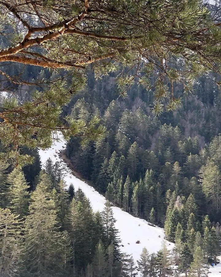 Le Flocon Apartment Cauterets 0*,