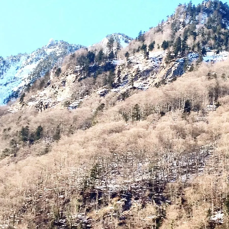 Le Flocon Apartment Cauterets 0*,  France